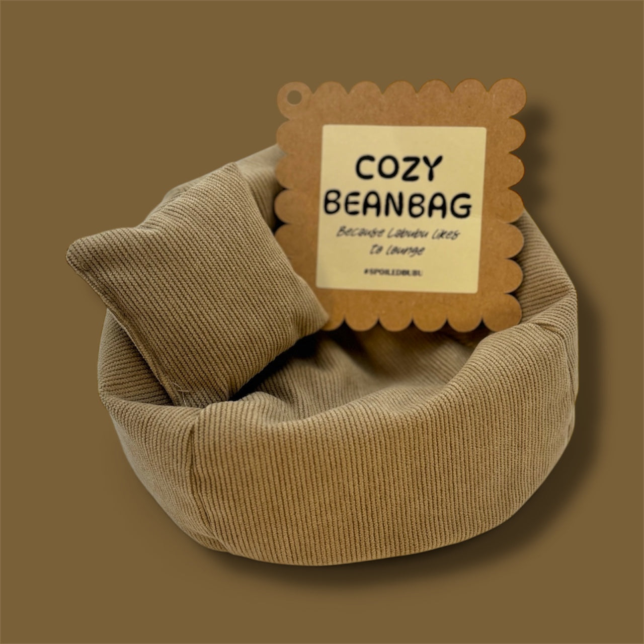 Cozy Bean Bag Chair For Bubu